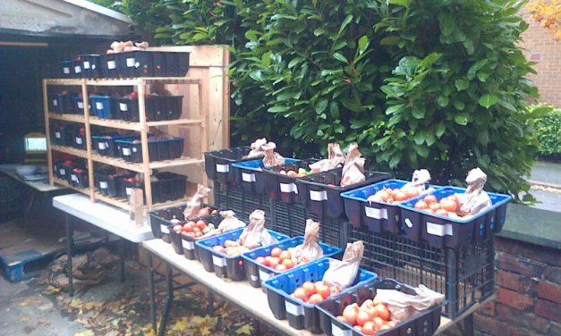 The Local Veg Box: A Social Enterprise for Food Access and Community Regeneration