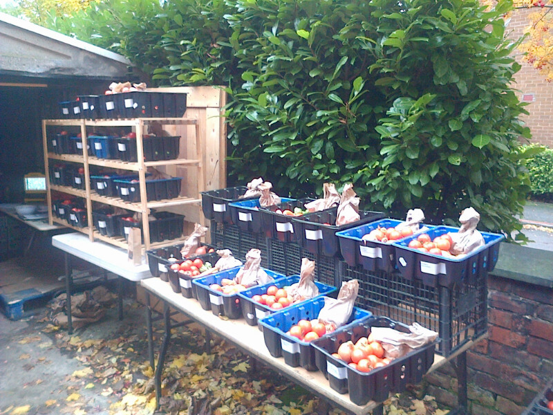 The Local Veg Box: A Social Enterprise for Food Access and Community Regeneration